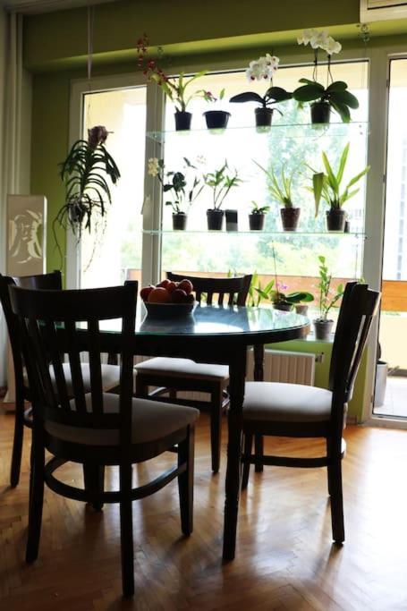 Beautiful Flat In Central Location By Flat Mаnager София Екстериор снимка